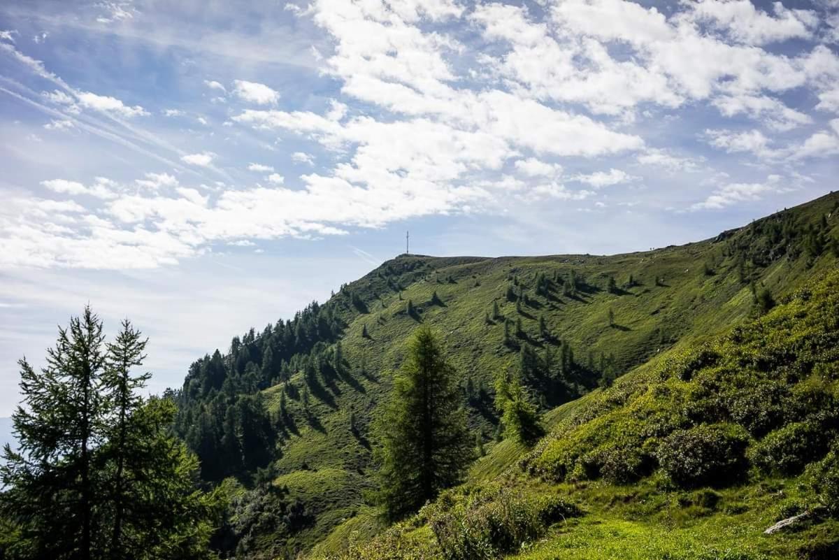 Ferienwohnung Hartlieb Goldeck Millstaettersee Spittal an der Drau Exterior foto